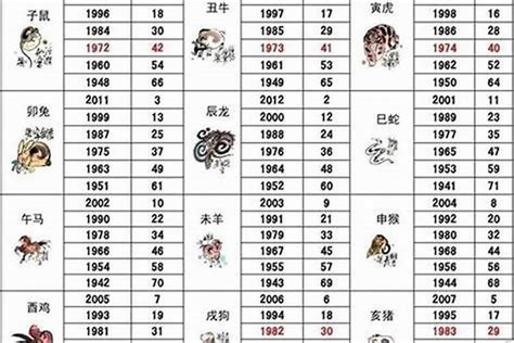 2007年是什么猪|2007年出生属什么生肖 2007年属猪是什么命